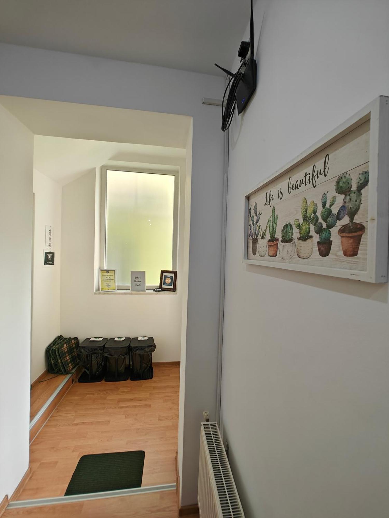 סיביו Transsylvanian Wolves Apartment מראה חיצוני תמונה