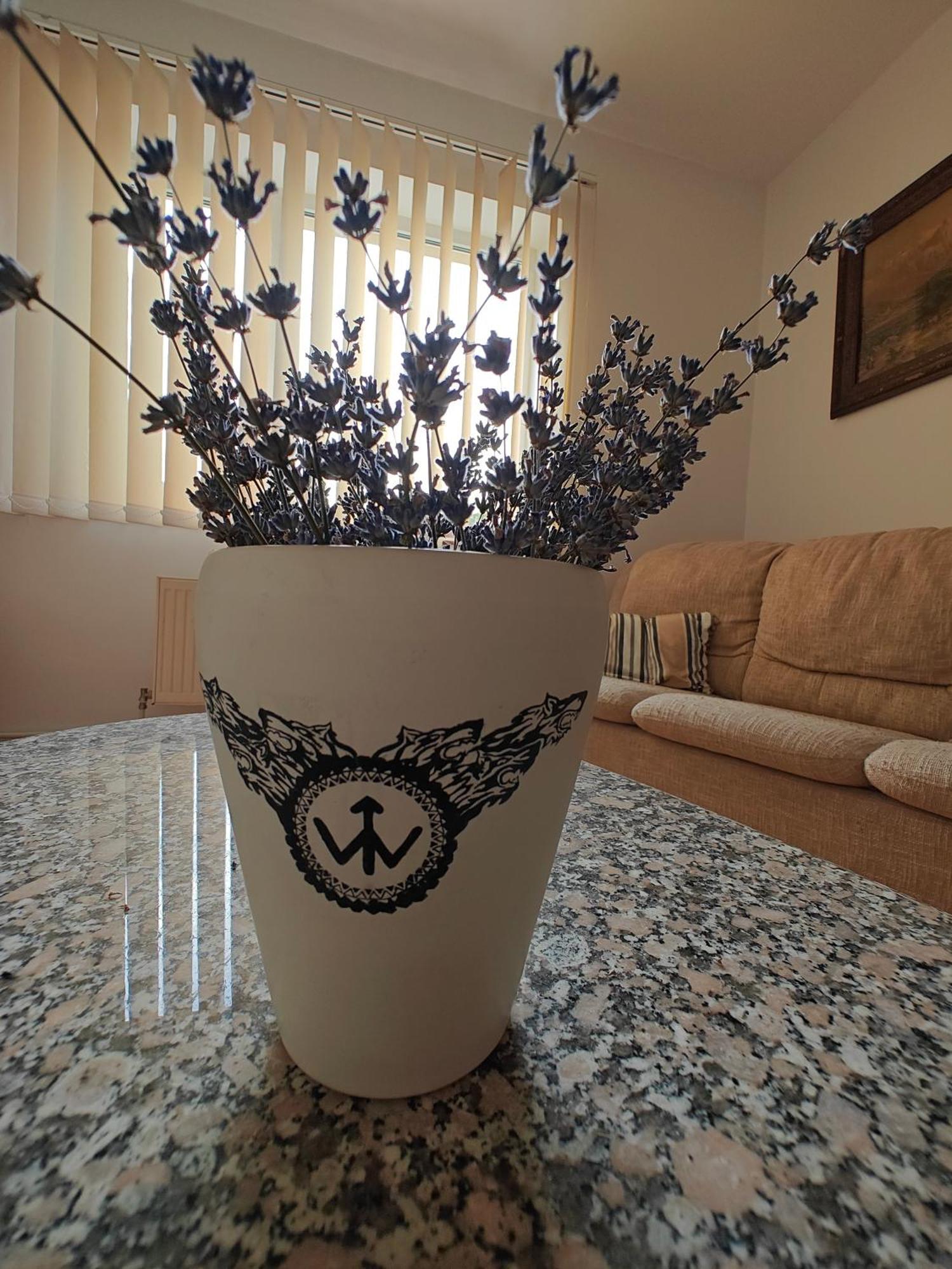סיביו Transsylvanian Wolves Apartment מראה חיצוני תמונה
